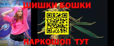 индика Пушкино