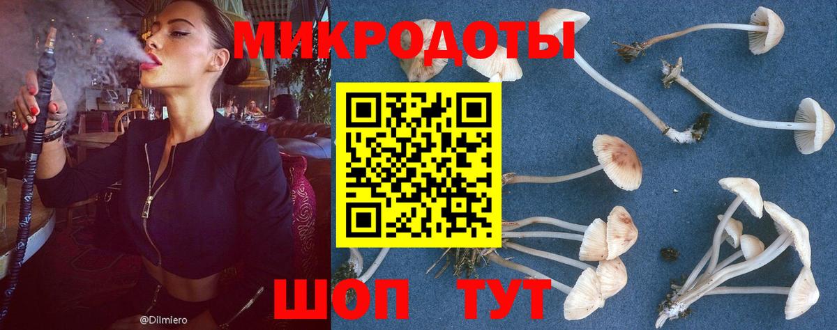 Псилоцибиновые грибы мицелий  Вход с VPN  Солнечногорск 